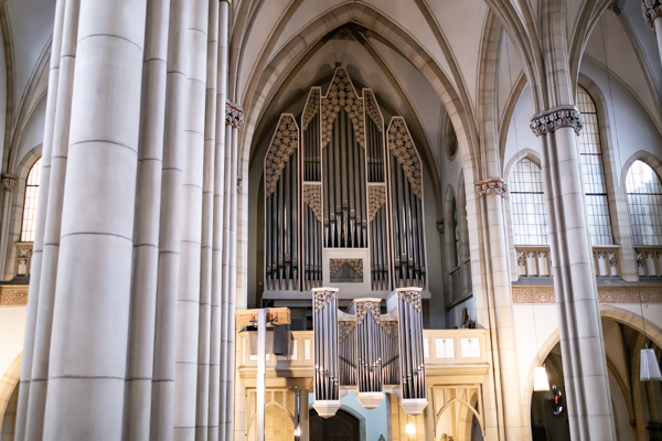 Frontal im Bild ist das Orgelprospekt zu sehen. Aufstrebende Pfeifen, die bis unters Kreuzgewölbe führen. 